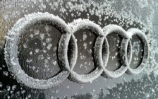 Audi Logo in Frost