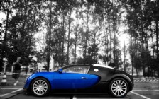 Bugatti Veyron, Black & Blue
