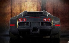 2010 Mansory Bugatti Veyron Linea Vincero d'Oro, Raised Wing