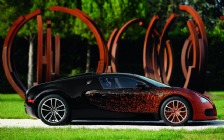 2012 Bugatti Veyron 16.4 Grand Sport by Bernar Venet