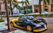 Bugatti Veyron on the Street, Gold & Black
