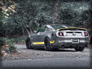 Ford Mustang GT by Chicane, Tuning