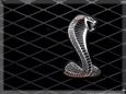 Ford Shelby GT500 Logo