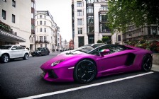 Lamborghini Aventador, Purple