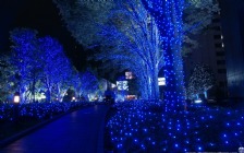 Christmas in Tokyo