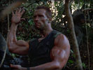 Arnold Schwarzenegger in the movie "Predator"