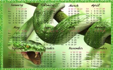 New Year 2013, Calendar, Snake