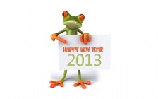 New Year 2013, Frog