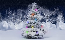 Christmas Tree, Lights, Snow