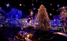 Christmas Tree, Lights, Ljubljana, Slovenia