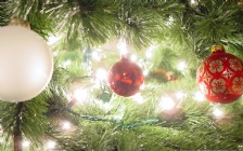 Christmas Baubles on a Pine Tree