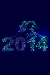 Happy New Year 2014, Year of the Horse