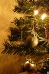 Christmas Pine Tree