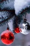 Christmas Baubles on a Pine Tree