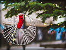 Christmas Stocking on a Pine Tree