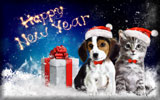 Happy New Year, Puppy and Kitten