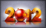 New Year 2012