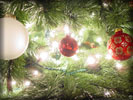 Christmas Baubles on a Pine Tree