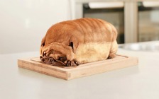 Dog Bread