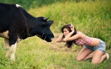 Girl Playing with a Cow