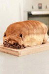 Dog Bread