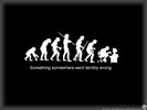 Human Evolution