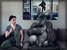 Guy with Banana, Gorilla