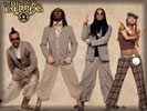 The Black Eyed Peas