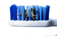 Toothbrush