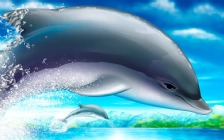 Dolphins