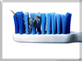 Toothbrush