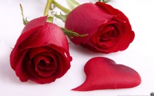 Valentine's Day, Red Roses with Red Heart