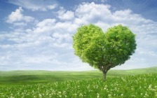 Valentine's Day, Heart Shaped Green Tree