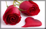 Valentine's Day, Red Roses with Red Heart