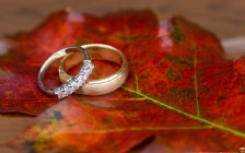 Wedding Rings