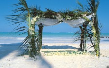 Wedding Canopy