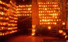 Halloween, Pumpkins