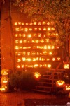 Halloween, Pumpkins