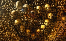 Skulls