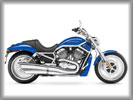 Harley-Davidson VRSCF V-Rod Muscle, Blue