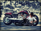 Harley-Davidson, Bikes & Girls