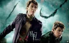 Harry Potter & the Deathly Hallows, Twins