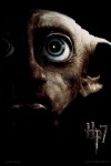 Harry Potter & the Deathly Hallows, Dobby