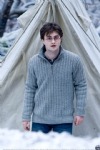 Harry Potter & the Deathly Hallows, Daniel Radcliffe