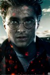 Harry Potter & the Deathly Hallows, Daniel Radcliffe