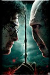 Harry Potter & the Deathly Hallows, Harry and Lord Voldemort