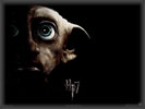 Harry Potter & the Deathly Hallows, Dobby