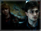 Daniel Radcliffe and Rupert Grint in the Deathly Hallows