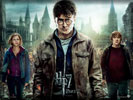 Harry Potter 7