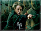 Harry Potter & the Deathly Hallows, Minerva McGonagall